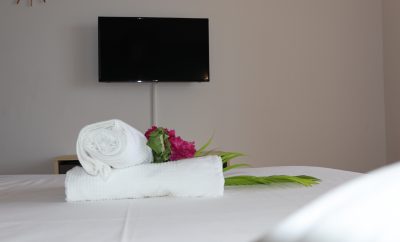 STUDIO LA BELLE CARAVELLE DE MARTINIQUE FWI